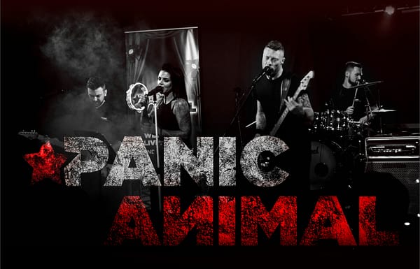 Panic Animal Gallery 1