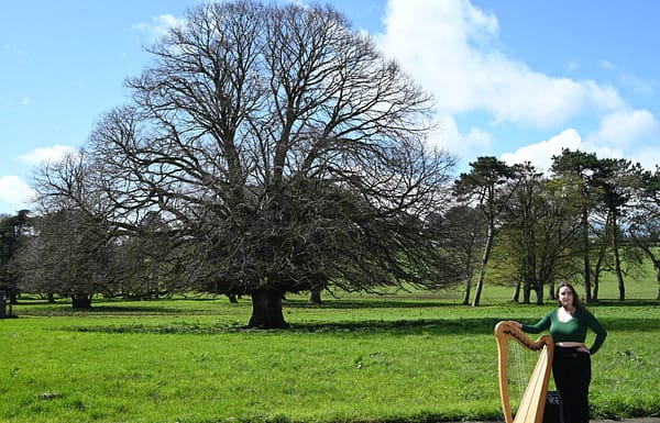 Ceremony & Drinks Reception Music Category Vendor Gallery The Harp That Once – Catherine Pierse