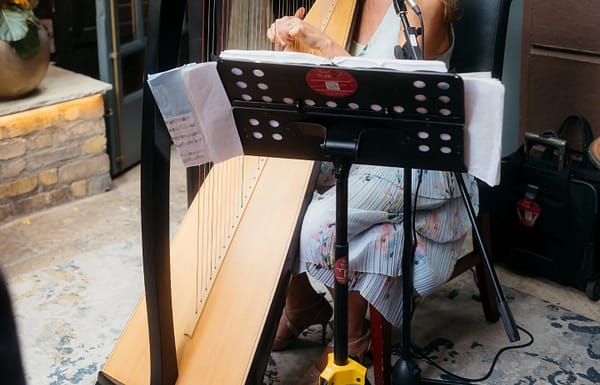 Sinead Walshe Harpist and Singer Gallery 2