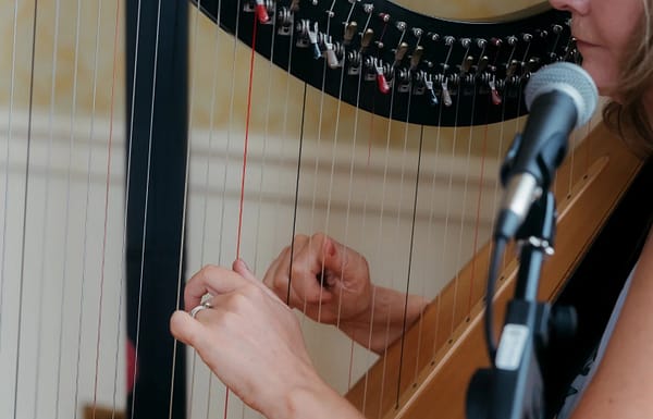 Sinead Walshe Harpist and Singer Gallery 5