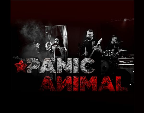 Wedding Bands / Music Listing Category Panic Animal